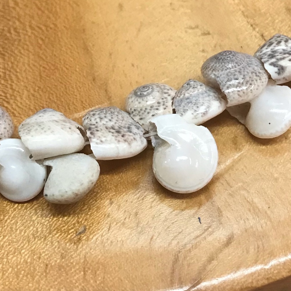 Long 🐚 Shell Necklace - Picture 3 of 4